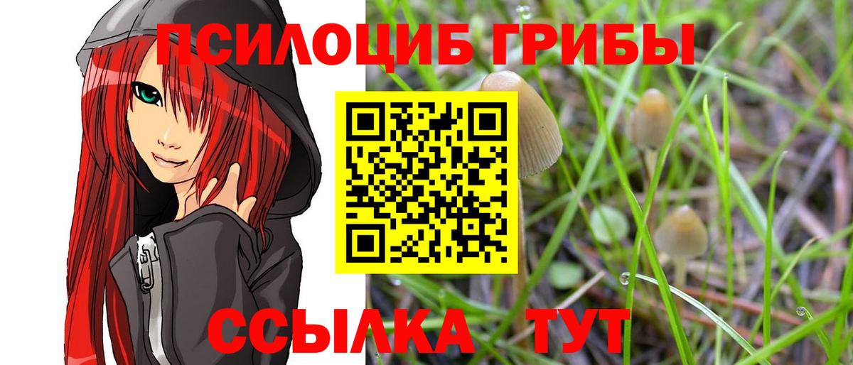 Галлюциногенные грибы мухоморы Ржев