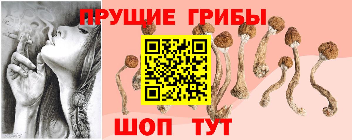 Галлюциногенные грибы Psilocybine cubensis  Вход с VPN  Ржев 