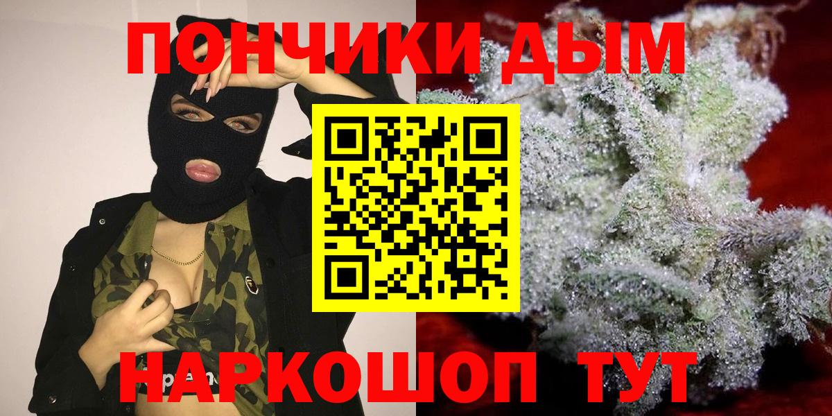 Бошки Шишки план Ржев